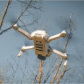 Drohne Mavic Mini vor Bäumen