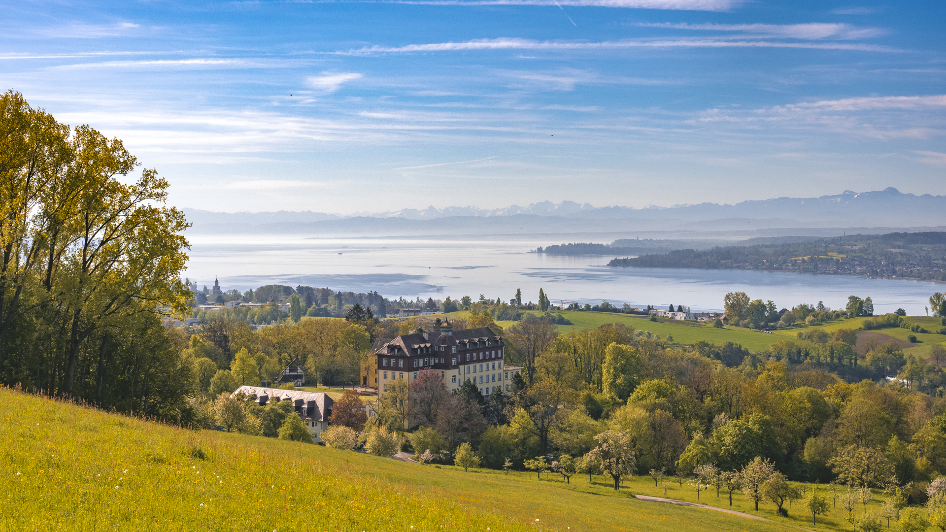 Blick auf den Überlinger See, im Vordergrund das Schloss Spetzgart